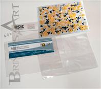 Pasta 4 - PVC Aba 2637A
