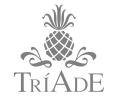 Triade Móveis