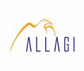 Allagi Consultoria