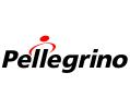 Pellegrino