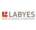 Labyes