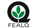 FEALQ