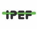 IPEF - Instituto de Pesquisas e Estudos Florestais